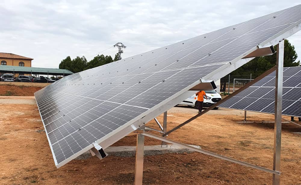 Cerdos Deluxe 1