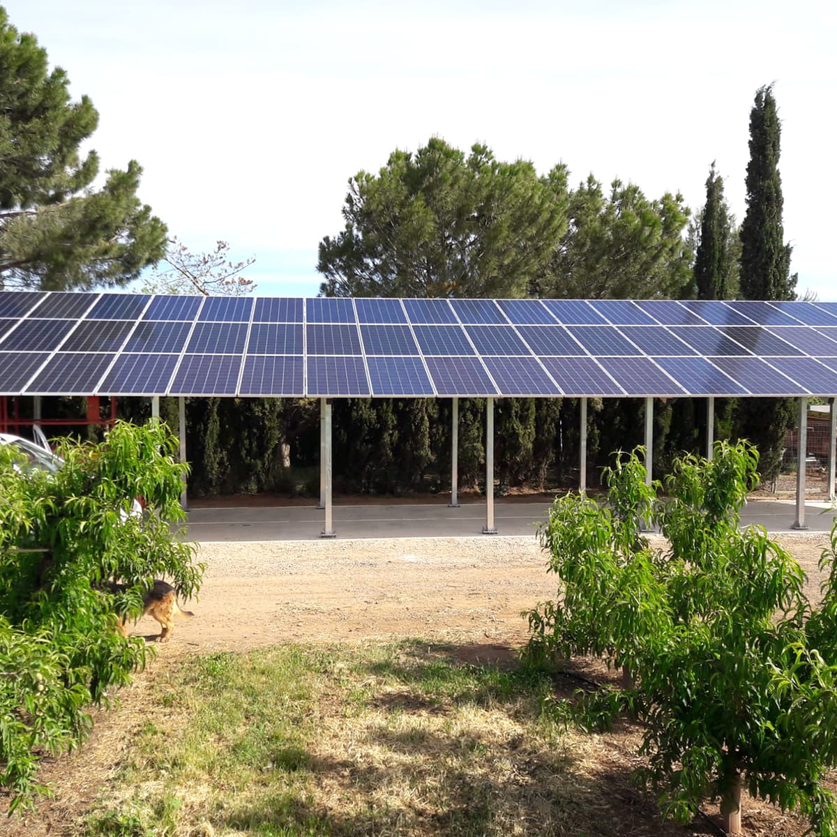 PÉRGOLA 5